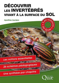 Découvrir les invertébrés vivant à la surface du sol