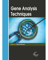 Image of Gene Analysis Techniques