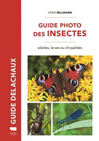 Guide photo des insectes: adultes, larves ou chrysalides