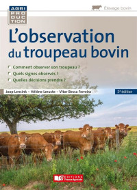 l'observation du troupeau bovin