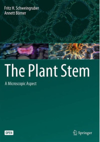 The plant Stem: A microscopic Aspect